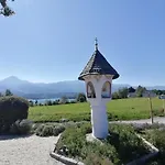Tolazzi