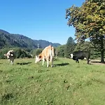 Tolazzi Σπίτι διακοπών Arnoldstein