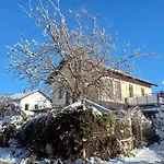 Holiday home Tolazzi