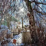 Tolazzi Σπίτι διακοπών *