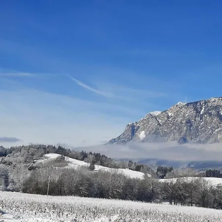 Tolazzi * Arnoldstein