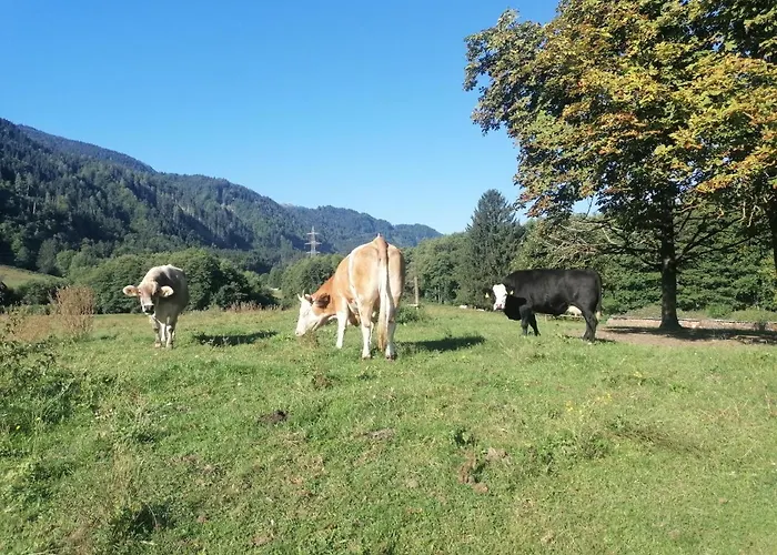 Tolazzi Hébergement de vacances Arnoldstein