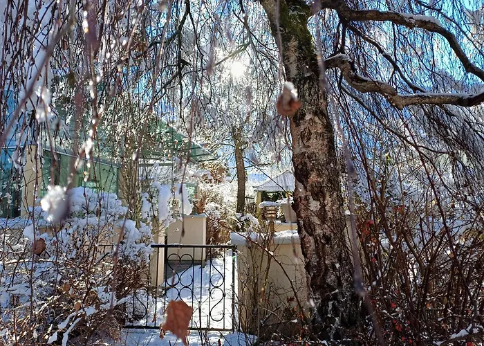 Tolazzi Hébergement de vacances *